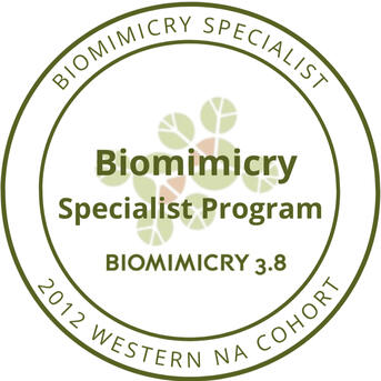 Biomimicry Specialist